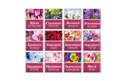 Шоколадный набор к 8 марта «Розы» 230г из 23 шоколадок 10г