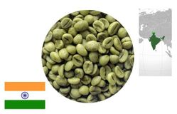 Кофе зеленый нежареный Robusta India Cherry АА/Parchment АA