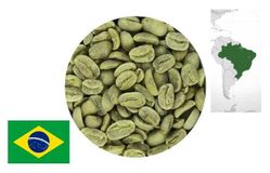 Кофе зеленый нежареный Arabica Brazil Santos NY 2 17/18 Fine Cup