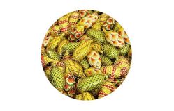 Елочная игрушка из шоколада «Новогодняя шишка» 13г в тубах по 50 штук [ecom]