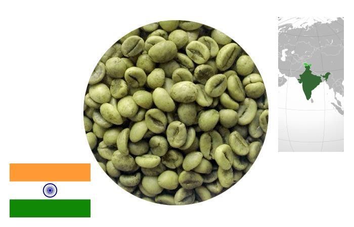 Кофе зеленый нежареный Robusta India Cherry АА/Parchment АA